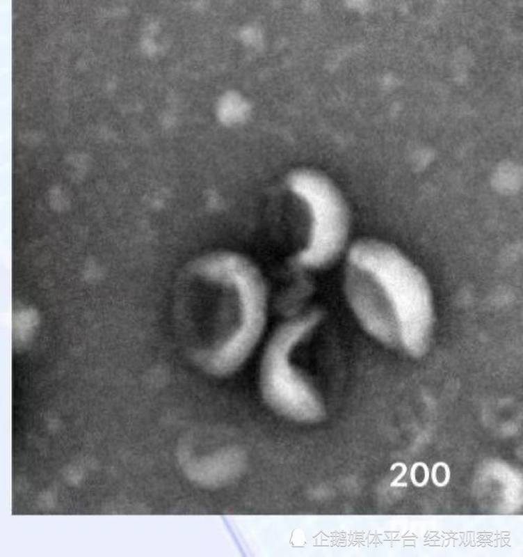  乱象曝光引发整顿；头部创新企业反而加速聚集资源。 IT技术 乱象曝光引发整顿；头部创新企业反而加速聚集资源。 IT技术 乱象曝光引发整顿；头部创新企业反而加速聚集资源。 IT技术