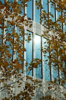 黄金市场遭遇连续调整；利率预期转变叠加流动性压力；短期波动主导走势。