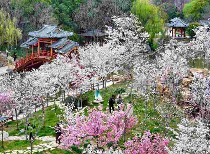  繁花似锦点亮春日；多地创新融合业态；春日经济图景生动展开。 文化旅游 繁花似锦点亮春日；多地创新融合业态；春日经济图景生动展开。 文化旅游 繁花似锦点亮春日；多地创新融合业态；春日经济图景生动展开。 文化旅游