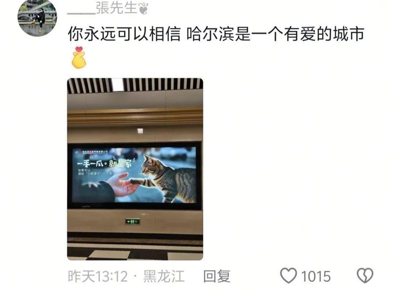  【冰窟救援技术深度解析】哈尔滨民警15分钟生命营救行动全记录 新闻