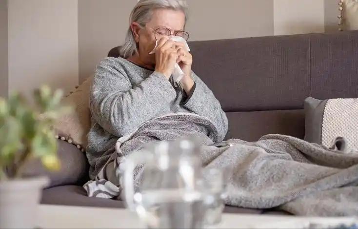  黄芪水深度指南：从药理成分到正确饮用方法全解析 健康养生