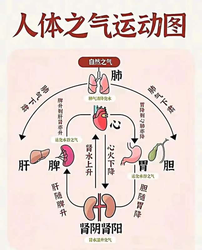  气的本质：跨越千年的东方哲学与物理学对话 文化旅游