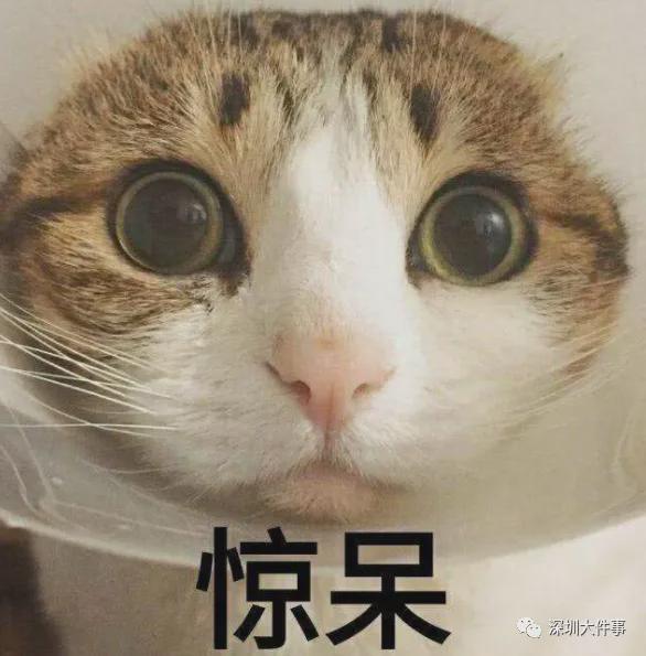  激光笔为何成为儿童视力“杀手”？从一起真实案例看高危激光产品的技术真相 健康养生