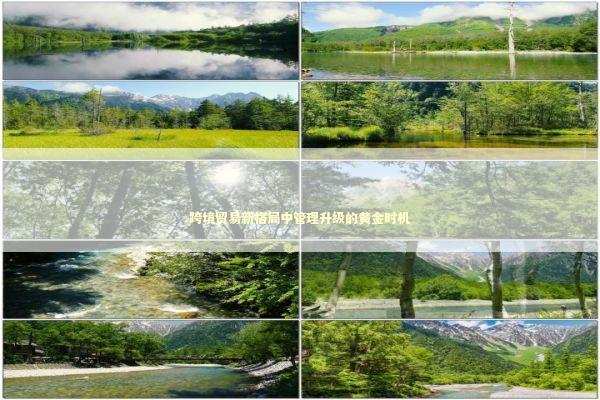 跨境贸易新格局中管理升级的黄金时机