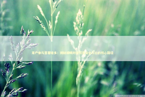 用户参与显著增多：揭秘顺畅对接可靠安全入口的核心路径 新闻
