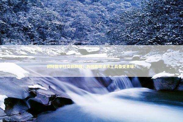 揭秘数字社交新防线：为何高端通讯工具备受青睐？