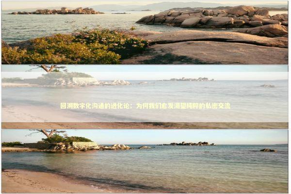 回溯数字化沟通的进化论：为何我们愈发渴望纯粹的私密交流