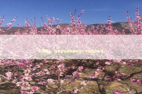 数据揭示：流量密码原来藏在这个不起眼的角落 IT技术