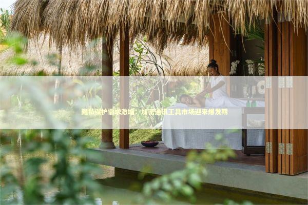 隐私保护需求激增：加密通讯工具市场迎来爆发期 IT技术