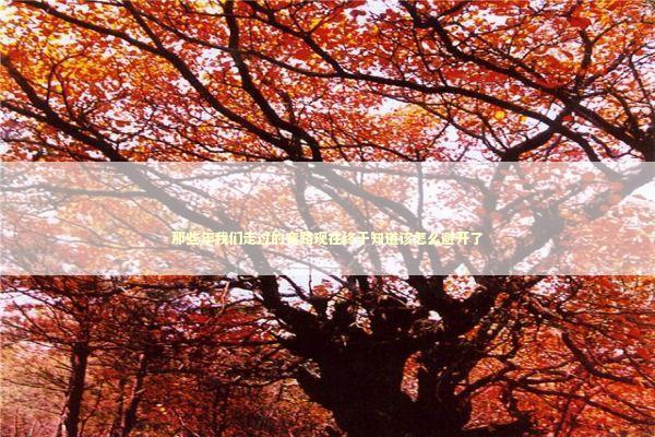 那些年我们走过的弯路现在终于知道该怎么避开了 IT技术