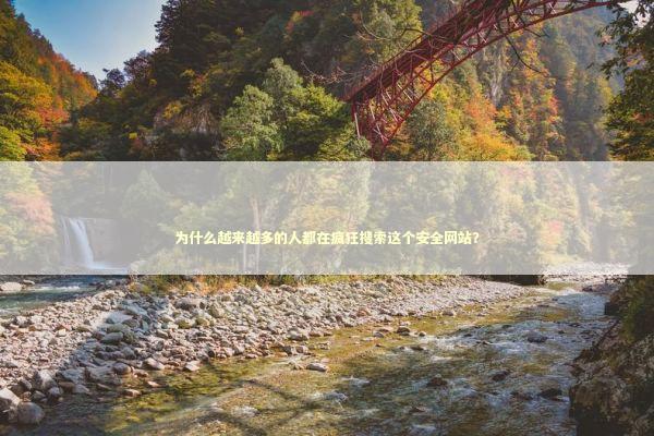 为什么越来越多的人都在疯狂搜索这个安全网站？ IT技术