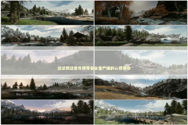 谈谈我这些年使用安全客户端的心得体会 IT技术