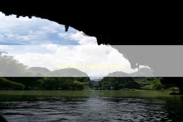 新手也能快速上手的安全防护方案分享 IT技术