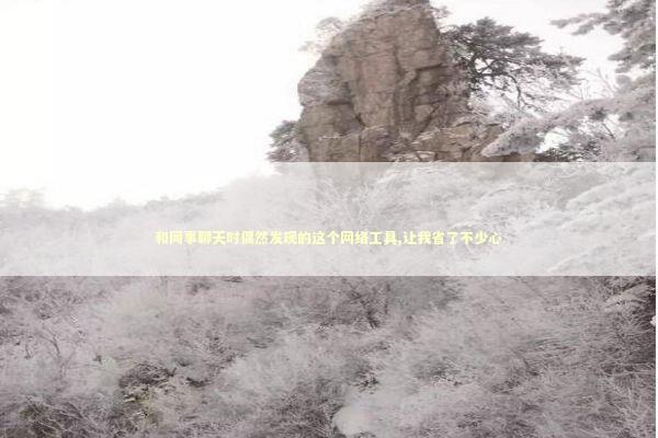 和同事聊天时偶然发现的这个网络工具,让我省了不少心 IT技术