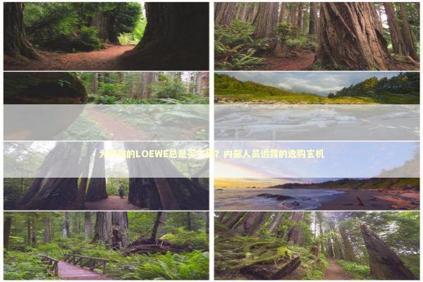 为何你的LOEWE总是买不到？内部人员透露的选购玄机 时尚用品
