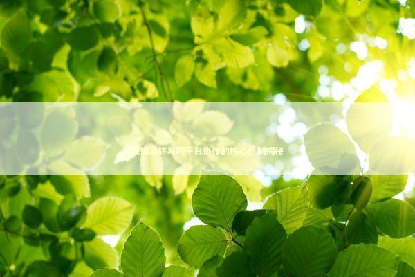 数据流转与跨平台协作的核心机制揭秘 IT技术